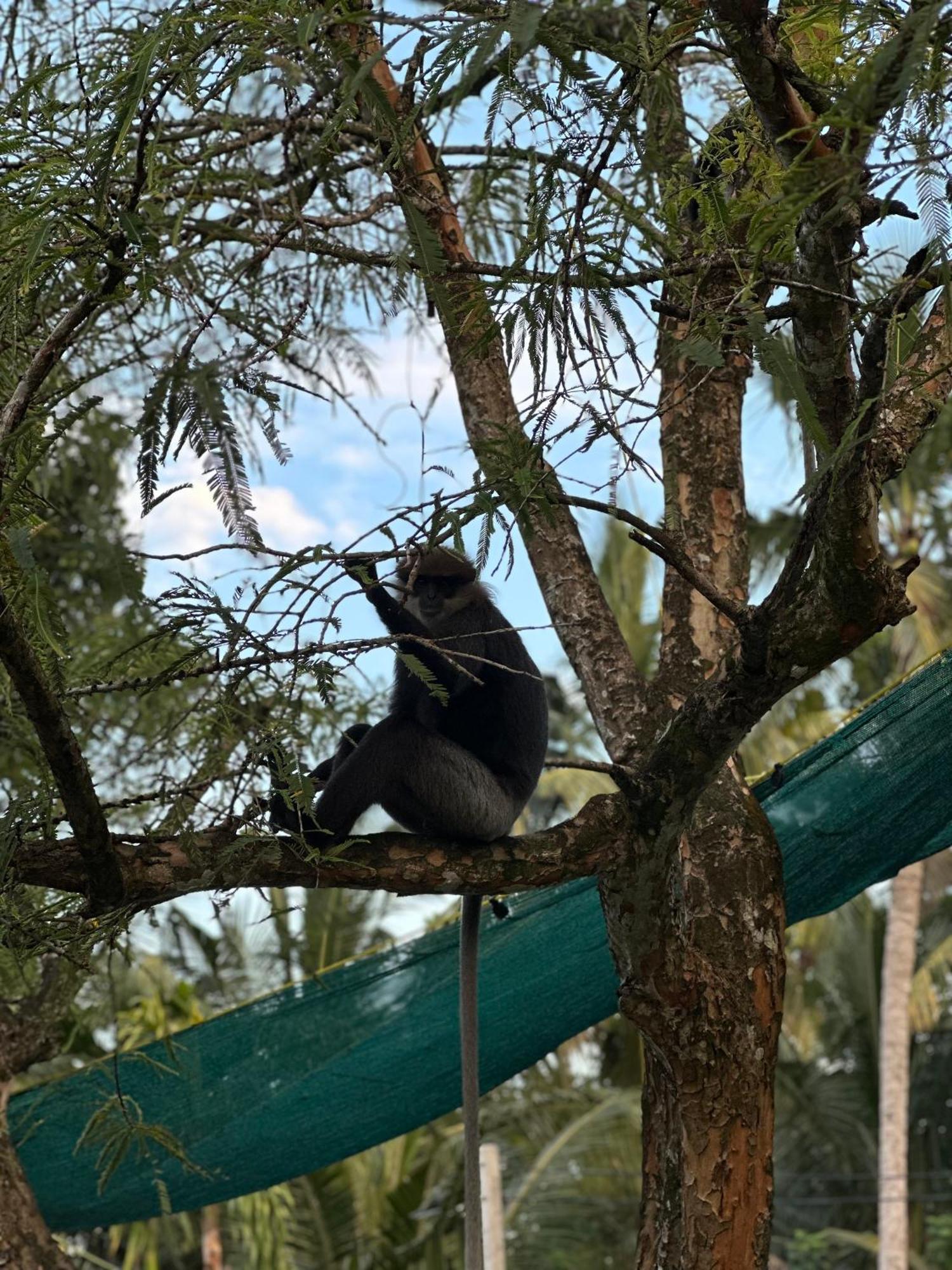 Mango Tree Villa Унаватуна Экстерьер фото